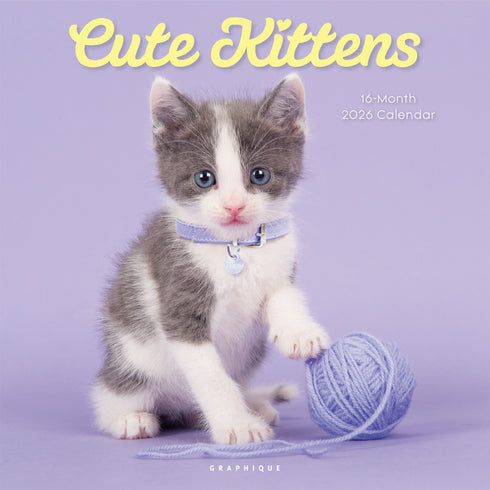 2026 CUTE KITTENS 12X12 WALL CALENDAR